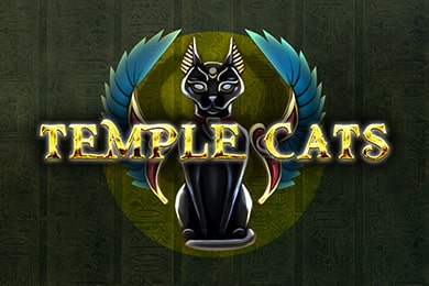 Templecats слот Вулкан Казино